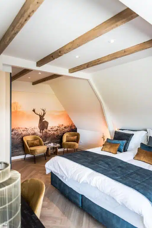 chambre deluxe dans un B&B proche Keukenho et champs de tulipes - Bollenstreek