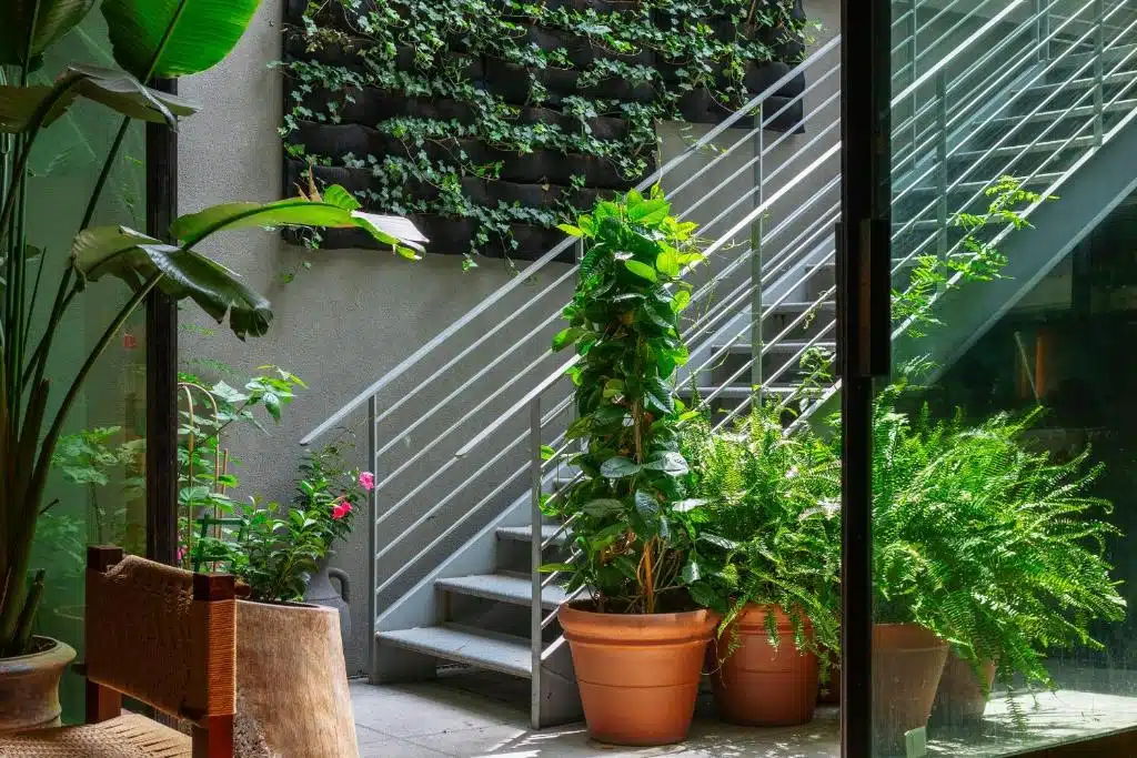 escalier extérieur au mur végétal menant à la terrasse en plein centre ville