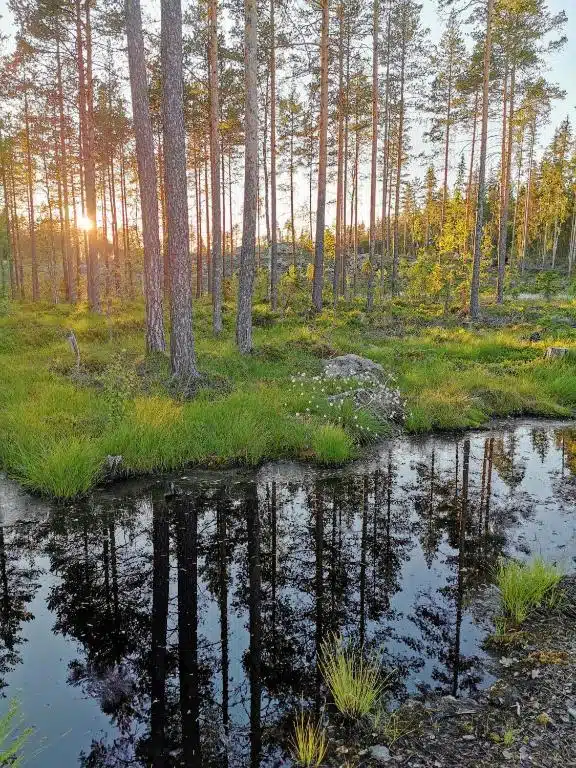 décor nature et champêtre pour cette location vacances au calme, en pleine nature avec à proximité pêche, cueillette de champignons et baies, baignade dans les lacs et rivières