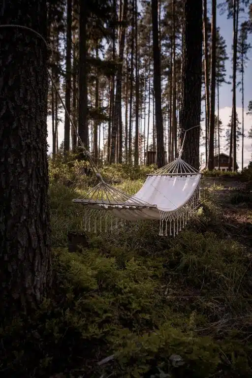 hamac accroché aux arbres pour se reposer en pleine nature à proximité de la location vacances