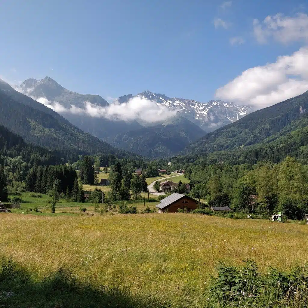 vue de vacnaces à la montagne en été au Curtillard