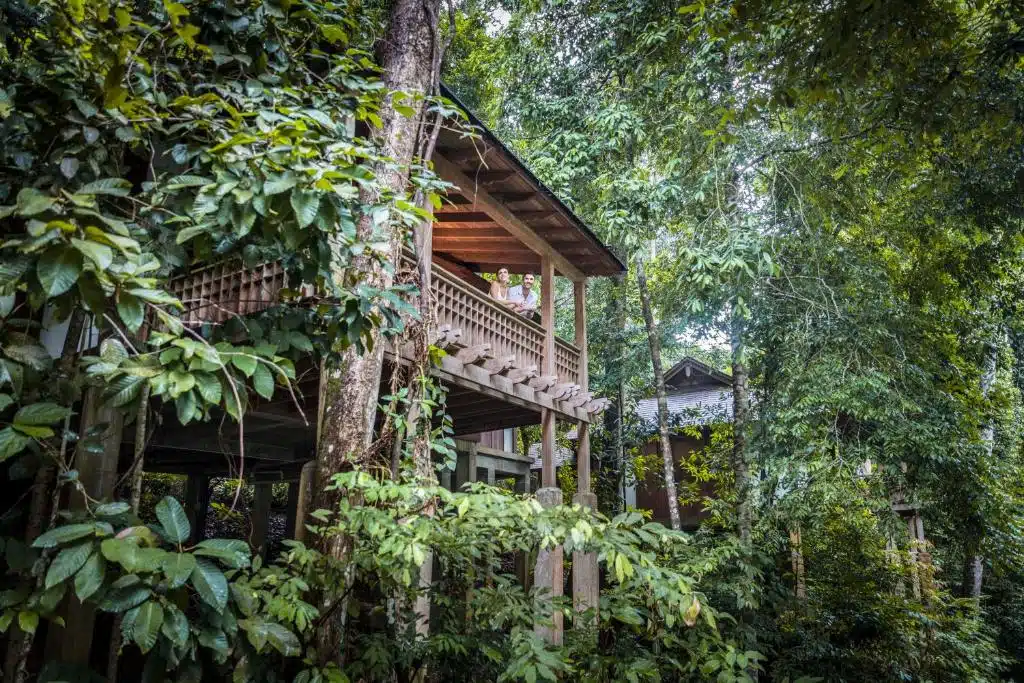 villa sur pilotis au milieu de la forêt tropicale dans l'hôtel The Datai Langkawi en Malaisie